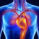 Angina Pectoris - www.bestlifequote.com